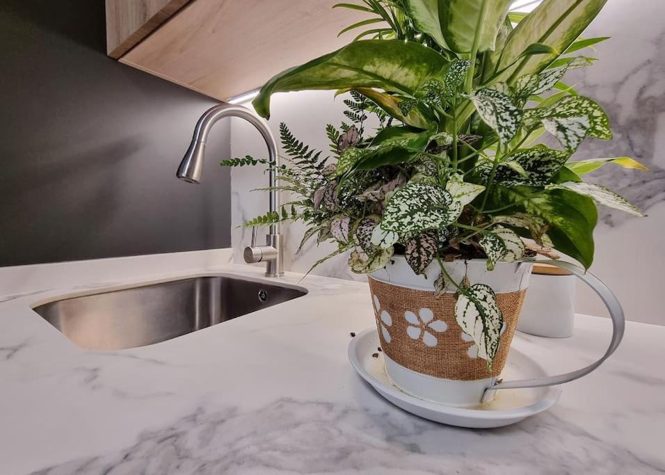 Beachside Escape Apartment Marbella